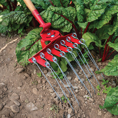 Tine Harrow &ndash; 12" Tine Weeders