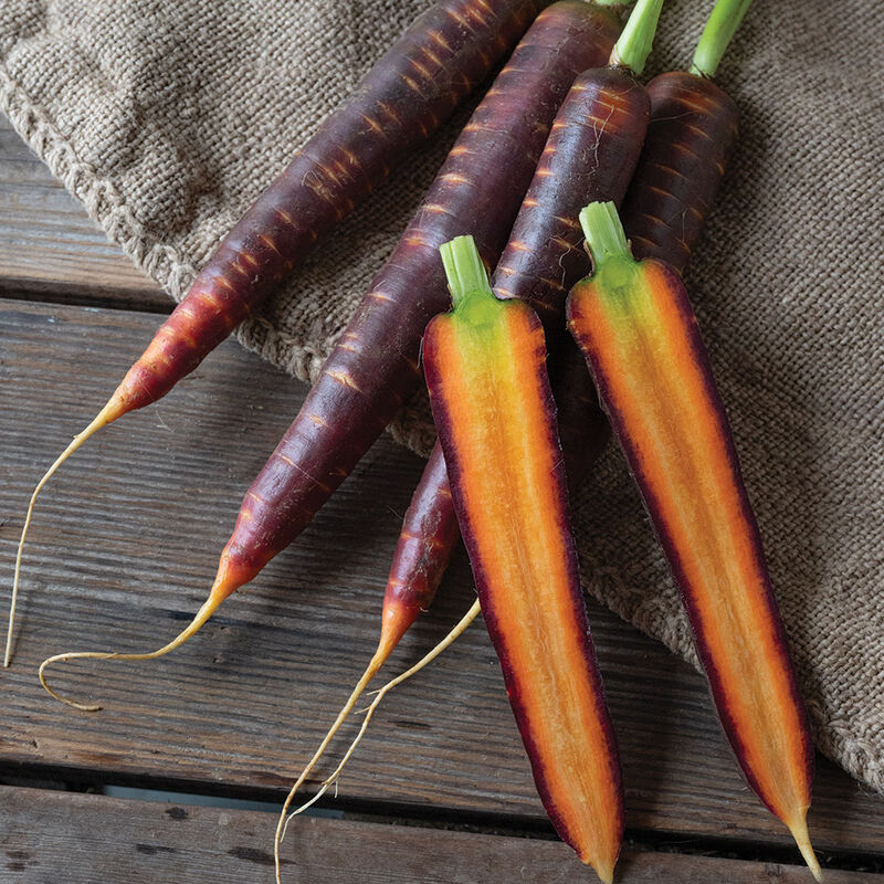 Purple Star Colored Carrots