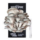 Blue Oyster 'Spray & Grow' Kit 'Spray & Grow' Kits