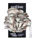 Blue Oyster 'Spray & Grow' Kit Mushrooms
