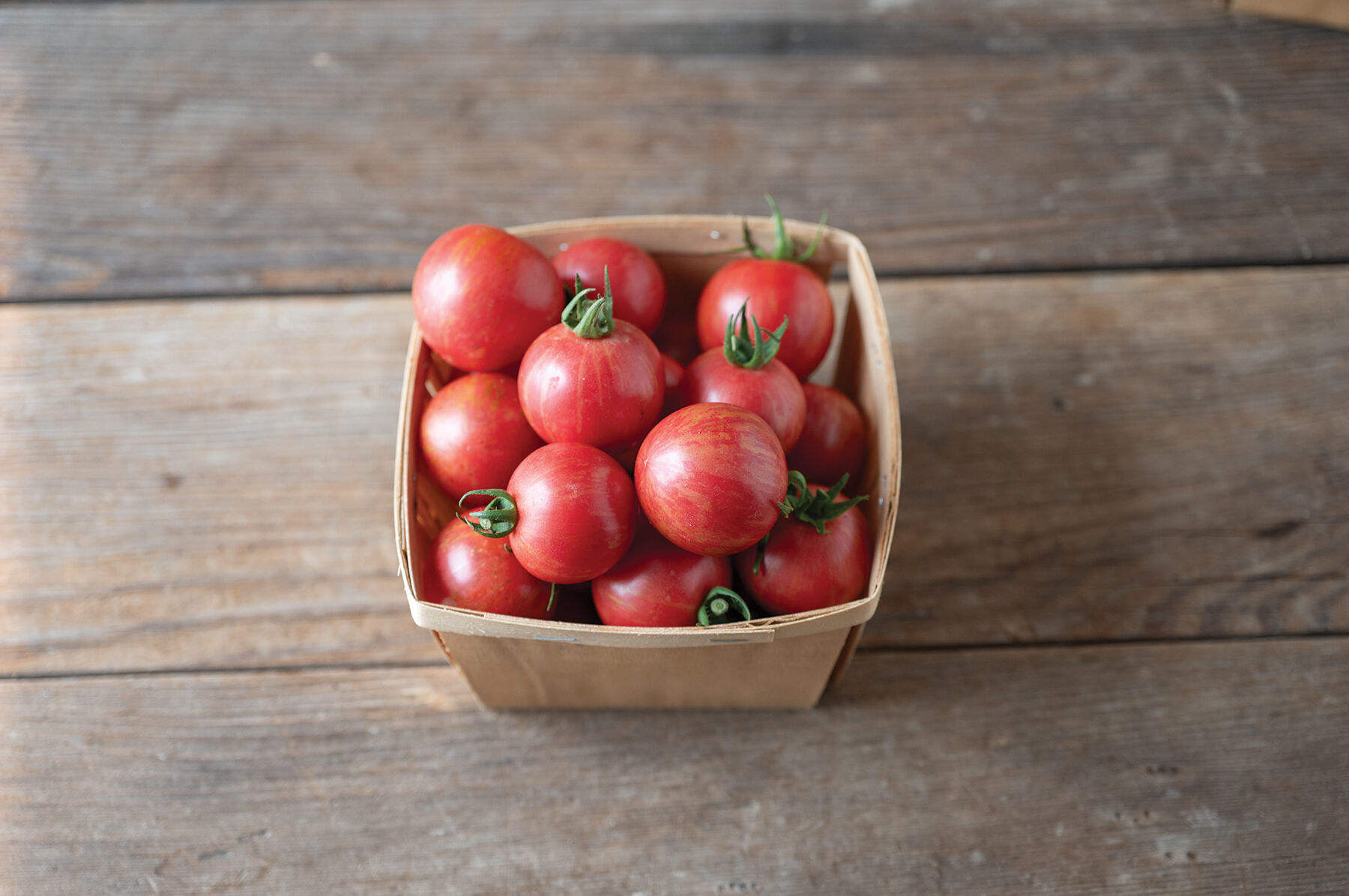 Queen Bee - Organic (F1) Tomato Seed | Johnny's Selected Seeds