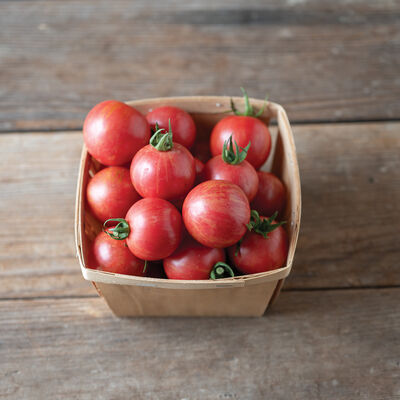 Queen Bee Cherry Tomatoes