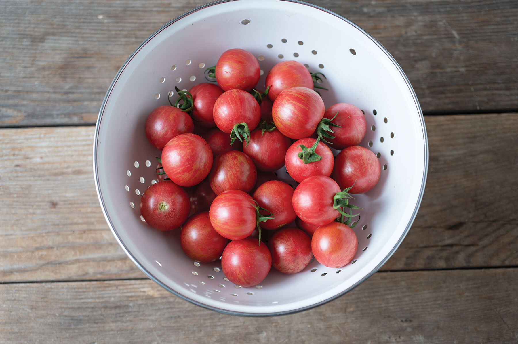 Queen Bee - Organic (F1) Tomato Seed | Johnny's Selected Seeds
