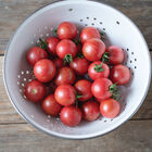 Queen Bee Cherry Tomatoes