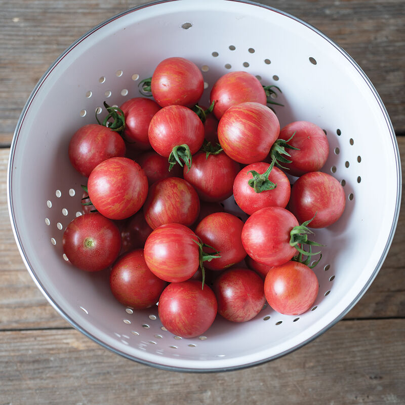 Queen Bee Cherry Tomatoes