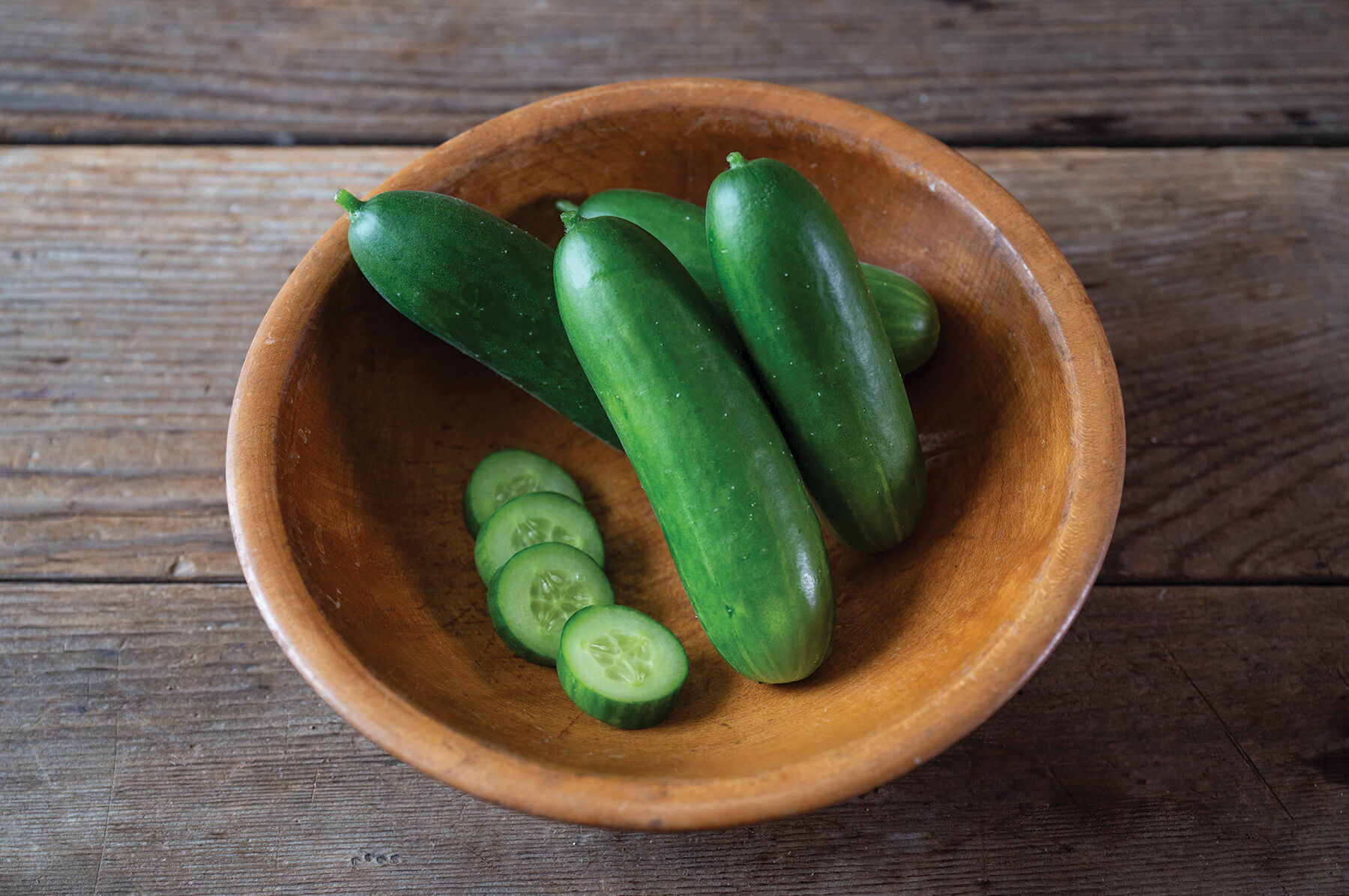 Quick Snack - (F1) Cucumber Seed | Johnny's Selected Seeds
