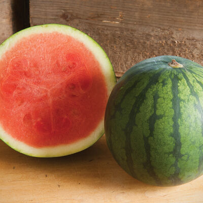 Sorbet Triploid Watermelons (Seedless)