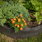Big Bag Bed – Original Raised Beds & Planters