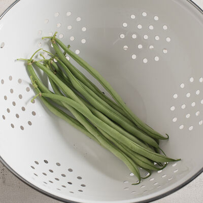 Maxibel Maxibel Bush Beans