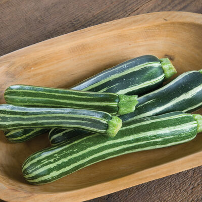 Safari Summer Squash