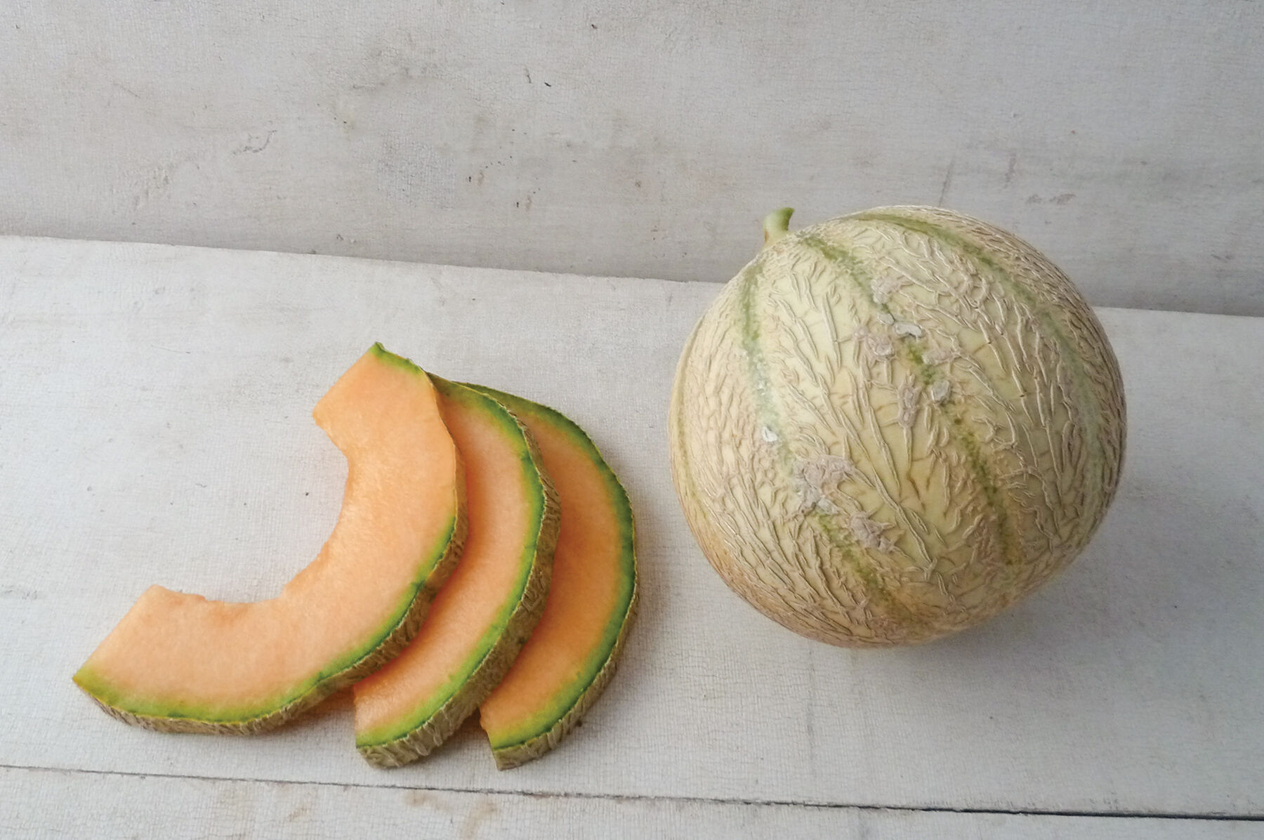 OldTimeTennesseemuskmelon2023_