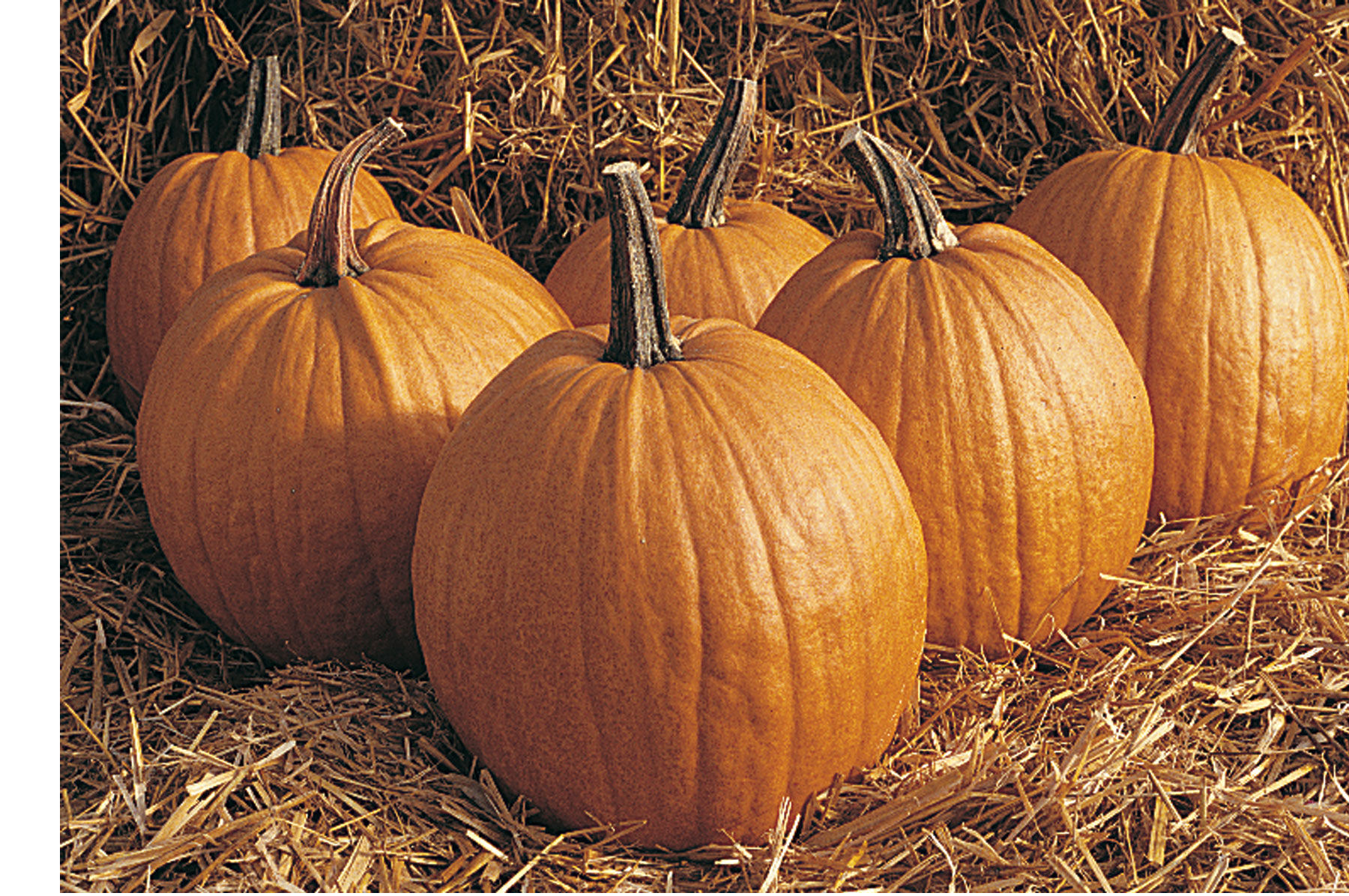 Rocket Jack-o-Lanterns