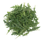 Nemesis Arugula (Roquette)