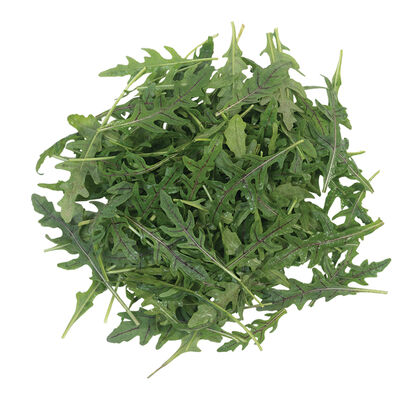 Roquette Rocky Wild Greens Seeds