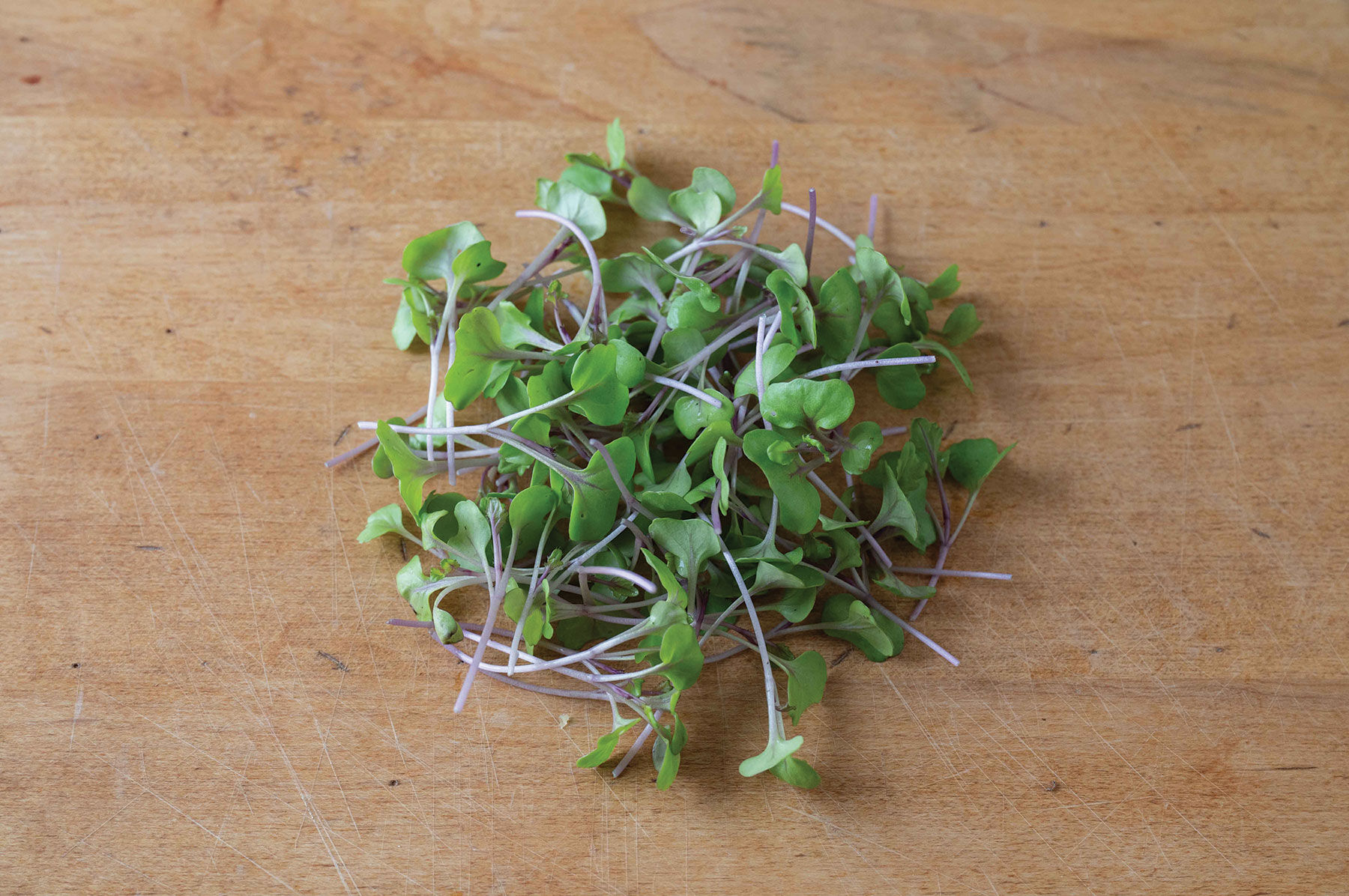 Kale, Unicorn Microgreen Vegetables