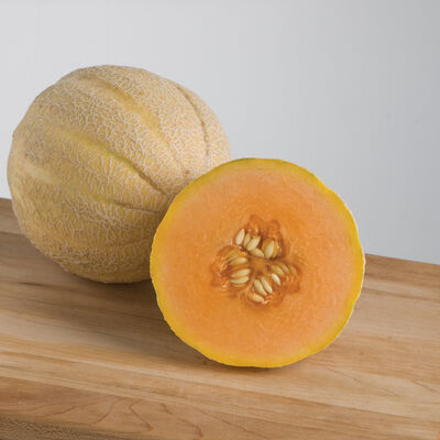 Halona Cantaloupe (Muskmelon)