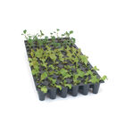 Pro-Tray 72 Cell Flats – 5 Count Pro-Tray 72 Cell Flats – 5 Count Cell Flats