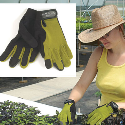 Women's Stem – S Women's Stem – S Gloves