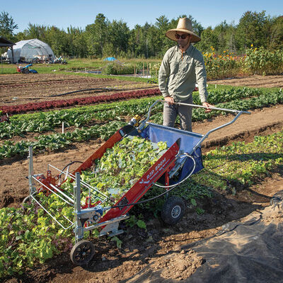 Baby Leaf Harvester Greens Harvesters