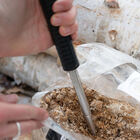 Italian Oyster Sawdust Spawn Sawdust Spawn
