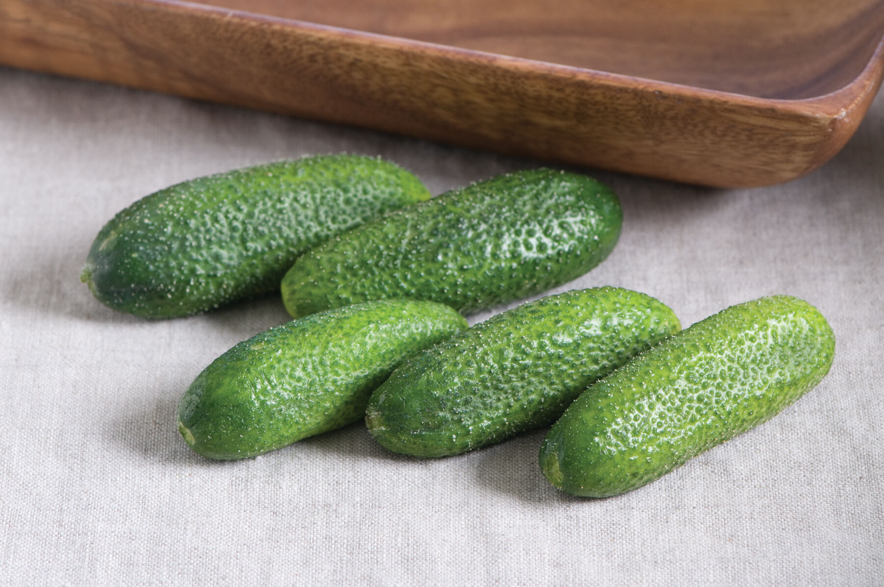 【cucumber】 Cucumber, Straight Eight Organic Seeds | Organic Cucumbers