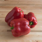 Yankee Bell Yankee Bell Sweet Bell Peppers