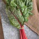 Ruby Red or Rhubarb Chard Ruby Red or Rhubarb Chard Swiss Chard