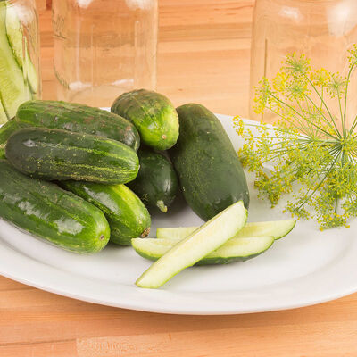 Max Pack Pickling Cucumbers