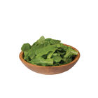 Deer Tongue Bibb Lettuce