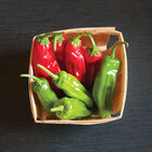 Mellow Star Quart-sized container of red and green Mellow Star Shishito peppers Sweet Peppers