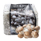 Almond Agaricus Sawdust Spawn Sawdust Spawn