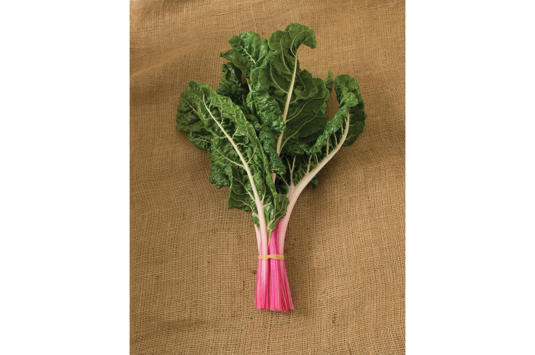 Peppermint Swiss Chard