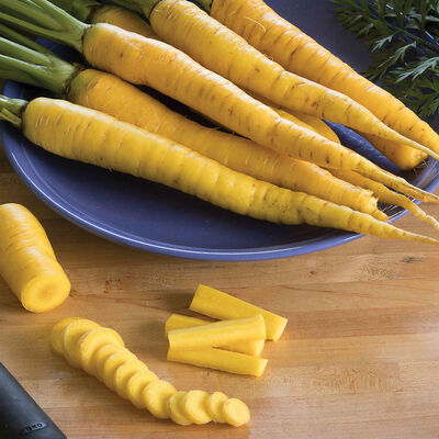 Yellowstone Colored Carrots