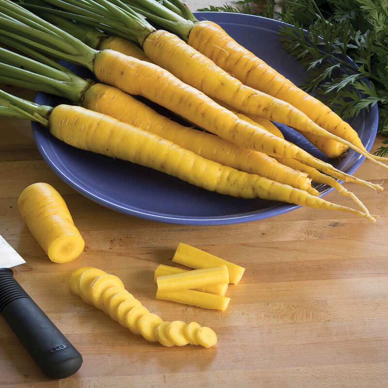 Yellowstone Yellowstone Colored Carrots