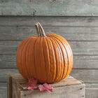 Expert Jack-o-Lanterns