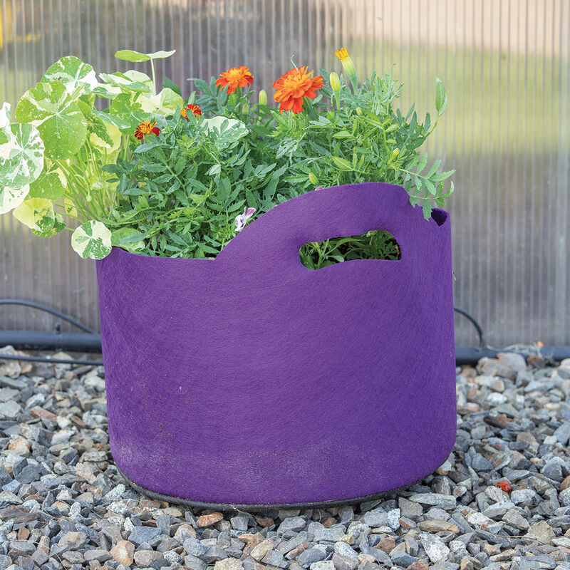 Grow Bags - 7 Gallon Colored Fabric Pots