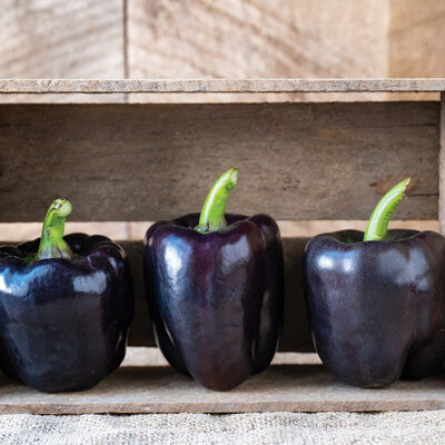 Lilo Sweet Bell Peppers