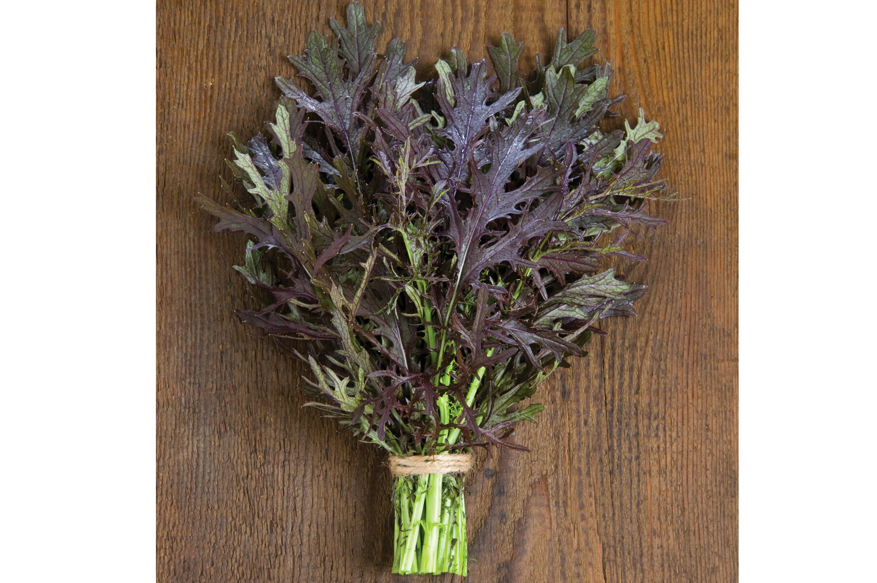 Ruby Streaks Mustard Greens