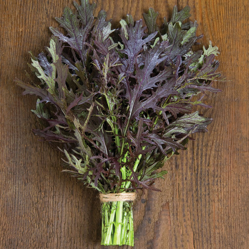 Ruby Streaks Ruby Streaks Mustard Greens