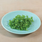 Cutting Celery Microgreen Herbs