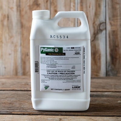 PyGanic&reg; 1.4% &ndash; 1 Qt. Insecticides