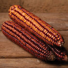 Choices Dry Corn