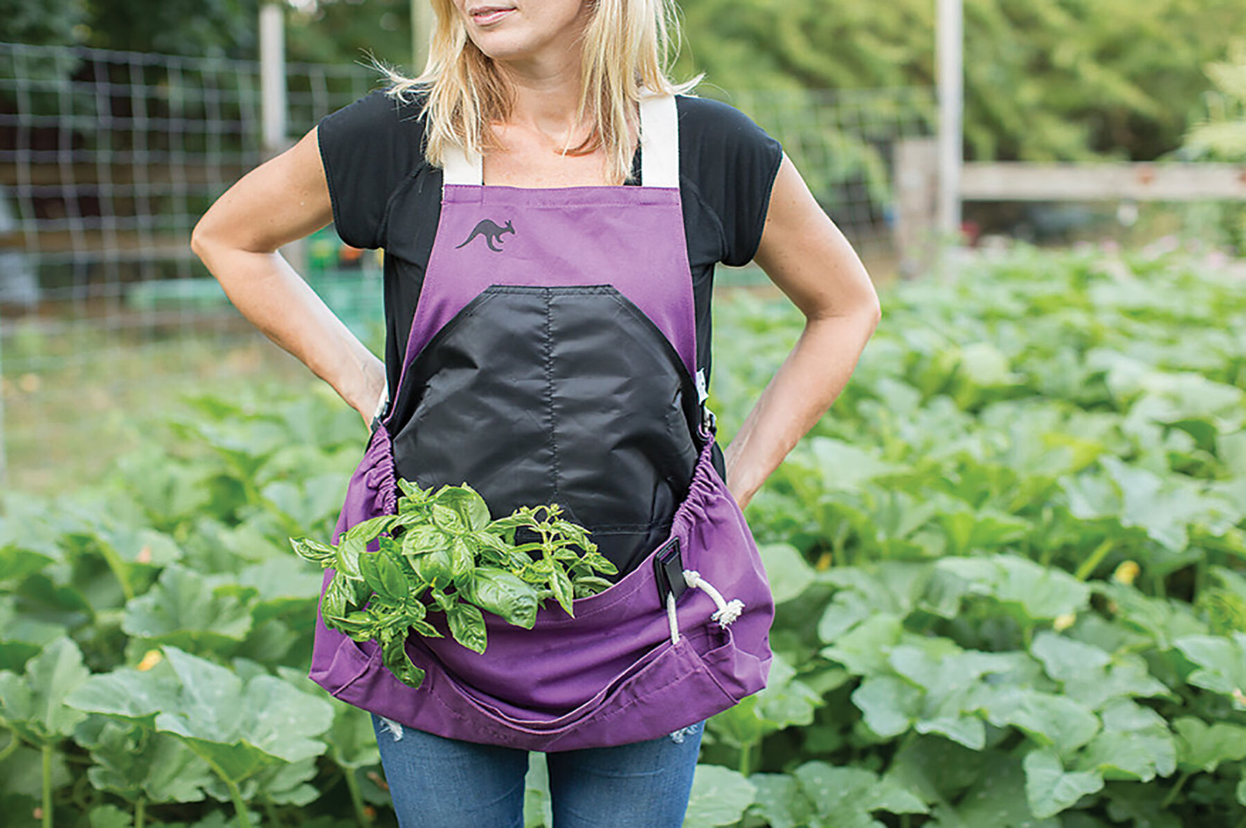 Purple apron store