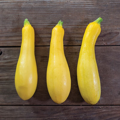 Butterfingers Butterfingers Summer Squash