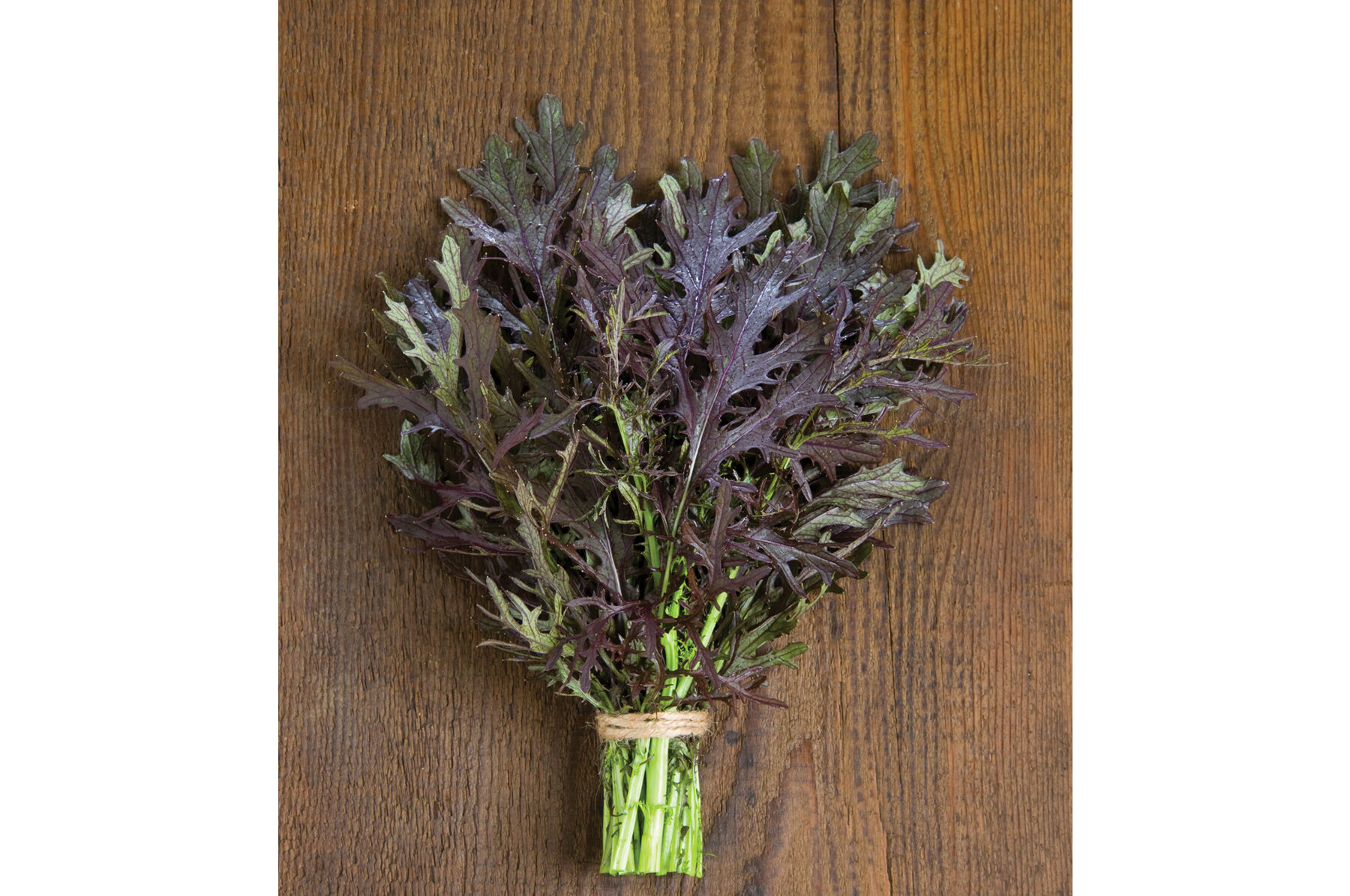 Ruby Streaks Mustard Greens