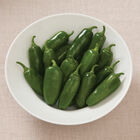 Early Jalapeño Hot Peppers