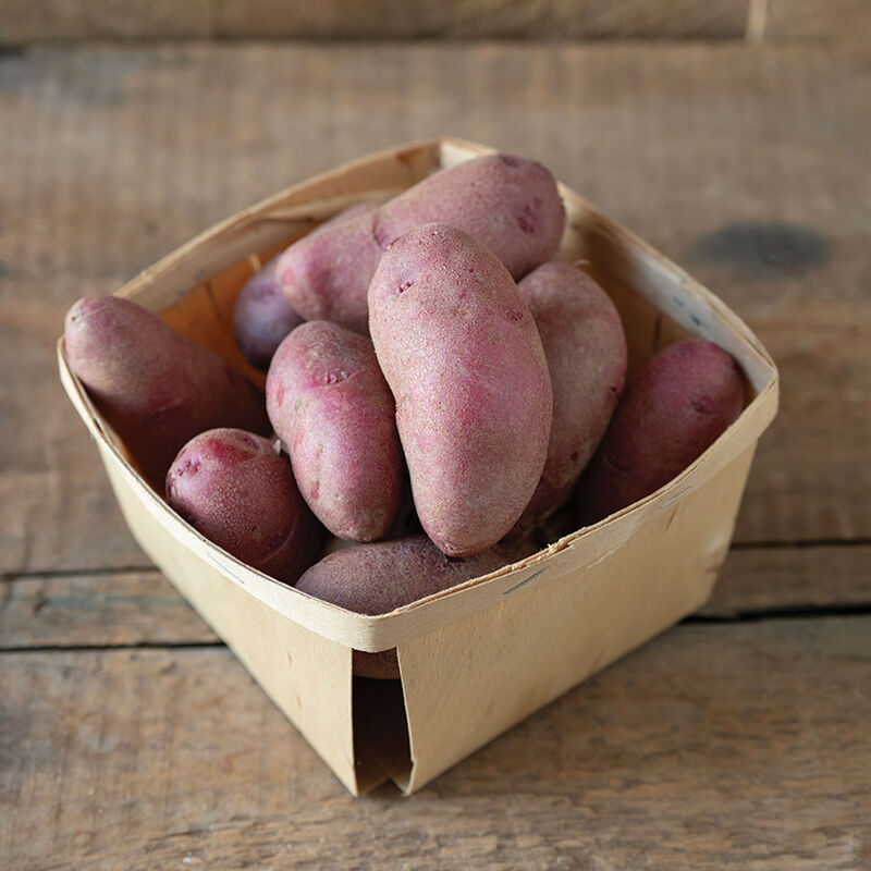 Amarosa Potatoes