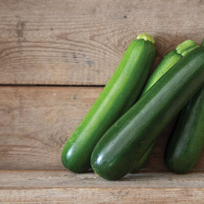 Desert Summer Squash