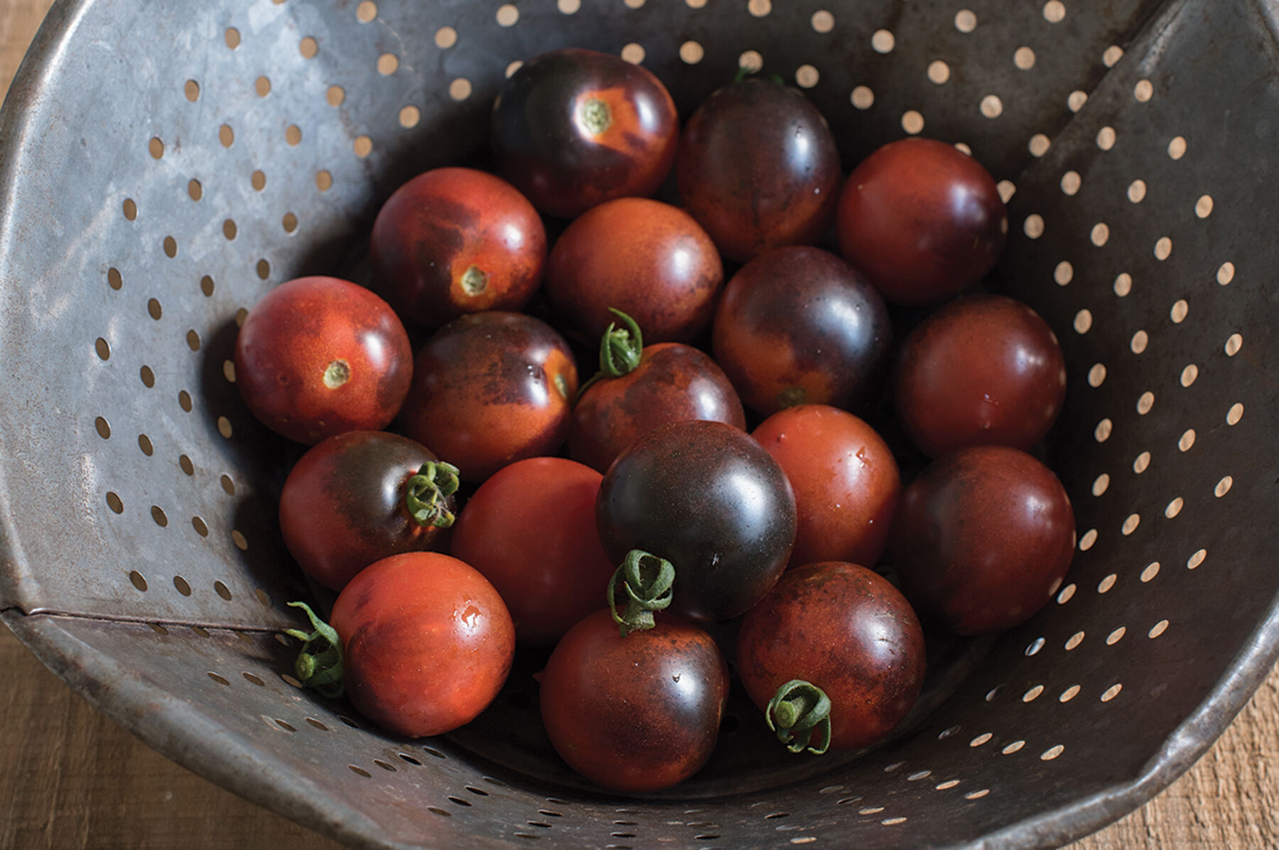 Indigo Cherry Drops - Organic Tomato Seed | Johnny's