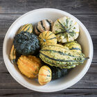 Harrowsmith Select Gourds